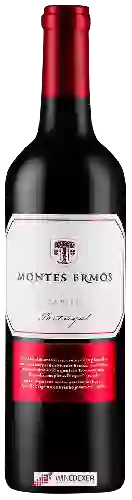 Weingut Montes Ermos - Adega de Freixo