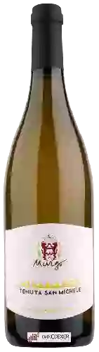 Weingut Murgo - Tenuta San Michele Etna Bianco