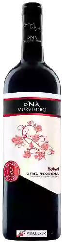 Weingut Murviedro - DNA Murviedro Bobal