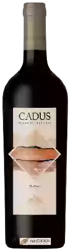 Weingut Nieto Senetiner - Cadus Blend de Alturas Malbec