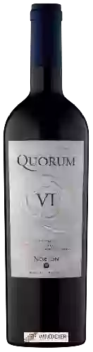 Weingut Norton - Quorum VI