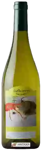 Weingut Nutbourne Vineyards - Chardonnay