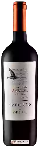 Weingut Odfjell - Cap&iacutetulo Flying Fish