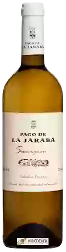 Weingut Pago de la Jaraba - Sauvignon