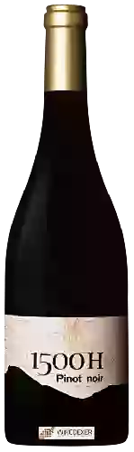Weingut Pago del Vicario - 1500H Pinot Noir