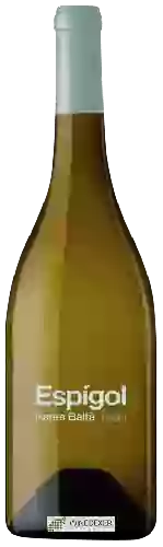 Weingut Parés Baltà - Espígol