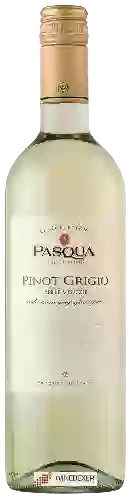 Weingut Pasqua - Le Collezioni Pinot Grigio
