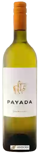 Weingut Payada - Chardonnay