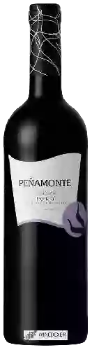 Weingut Peñamonte - Cosecha