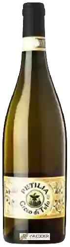 Weingut Petilia - Greco di Tufo