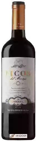Weingut Picos del Montgó - Old Vines Tempranillo