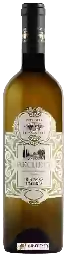 Weingut Poggette - Grechetto Bianco