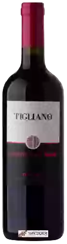 Weingut Poggio Nicchiaia - Tigliano