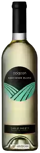 Weingut Polgoon - Sauvignon Blanc