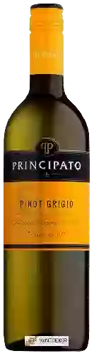 Weingut Principato - Pinot Grigio