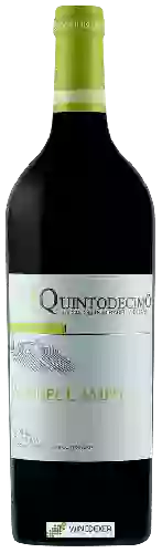 Weingut Quintodecimo - Via del Campo Falanghina