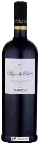 Weingut Reserva de la Tierra - Pago de Pelde Syrah - Tempranillo