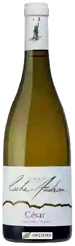 Domaine Roche Audran - César Blanc