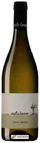 Weingut Salis Terrae - Pinot Grigio