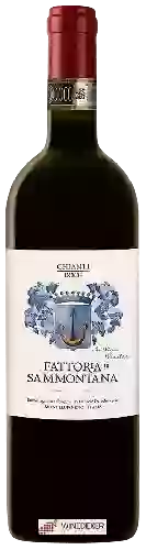 Weingut Sammontana - Chianti