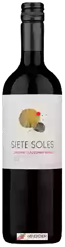 Weingut Siete Soles - Cabernet Sauvignon - Merlot
