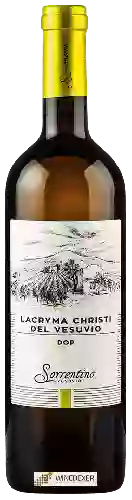 Weingut Sorrentino - Lacryma Christi del Vesuvio Bianco