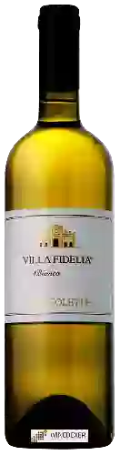 Weingut Sportoletti - Villa Fidelia Bianco