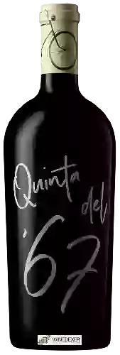 Weingut Volver - Quinta del 67 Crianza