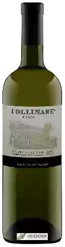 Weingut Tenuta Colle Degli Ulivi - Collinare Bianco da uva Merlot