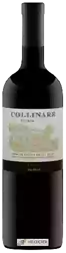 Weingut Tenuta Colle Degli Ulivi - Collinare Riserva Merlot