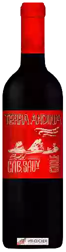 Weingut Terra Andina - Cabernet Sauvignon Bold