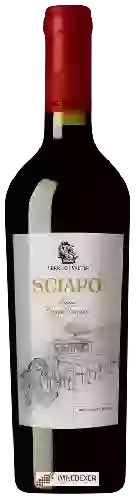 Weingut Terre di Valter - Sciapo'