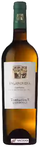 Weingut Terredora - Falanghina Campania