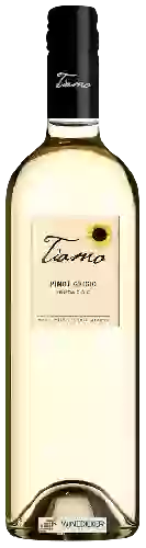 Weingut Tiamo - Pinot Grigio