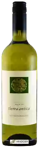 Weingut Tierra Antica - Sauvignon Blanc