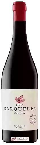 Weingut Tomàs Cusiné - Finca Barqueres Carignan