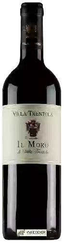 Weingut Villa Trentola - Il Moro di Villa Trentola