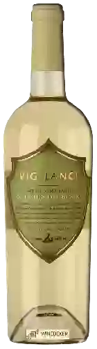 Weingut Vigilance - Sauvignon Blanc