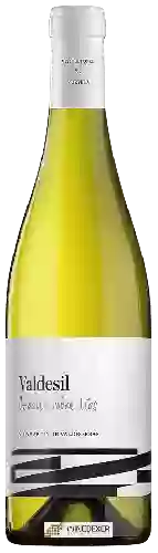 Weingut Valdesil - Godello Sobre Lias