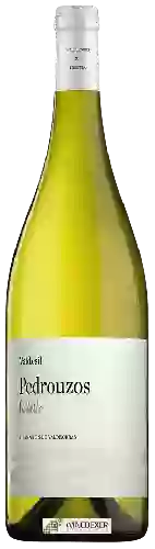 Weingut Valdesil - Pedrouzos Godello