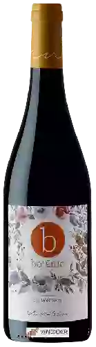 Weingut Vins de Terrer - Botānic