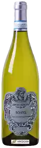 Weingut Antica Vigna - Soave