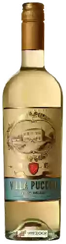 Weingut Villa Puccini - Pinot Grigio