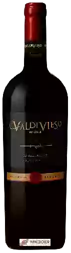 Weingut Valdivieso - Single Vineyard Carmenère