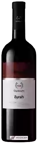 Weingut CVA Canicatti - Aquilae Syrah