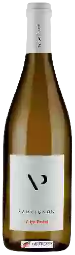 Weingut Volpe Pasini - Sauvignon