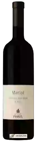 Weingut Weingut Pfostl - Merlot