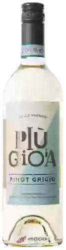 Weingut WINC - Più Gioia Pinot Grigio