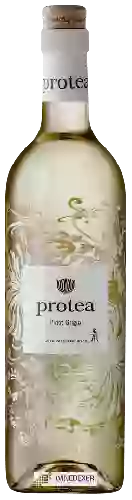 Weingut Protea - Pinot Grigio