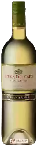 Weingut Terra del Capo - Pinot Grigio